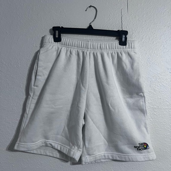 North Face Mens Pride Logo Shorts - Picture 1 of 3